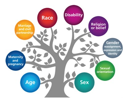 Waverley Junior Academy - 9 Protected Characteristics